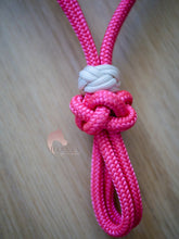 Load image into Gallery viewer, Groundwork Set - Zinnia