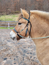 Load image into Gallery viewer, Comfort Bitless Bridle - Monalisa