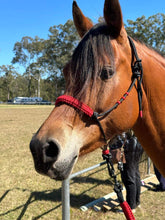 Load image into Gallery viewer, Clinic Set - Groundwork