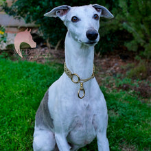 Load image into Gallery viewer, IN STOCK Macrame Martingale Collar - Gold (slight variation from photos)
