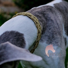 Load image into Gallery viewer, IN STOCK Macrame Martingale Collar - Gold (slight variation from photos)