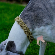 Load image into Gallery viewer, IN STOCK Macrame Martingale Collar - Gold (slight variation from photos)