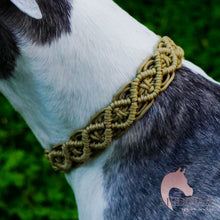 Load image into Gallery viewer, IN STOCK Macrame Martingale Collar - Gold (slight variation from photos)