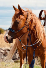 Load image into Gallery viewer, Halter - El Deree