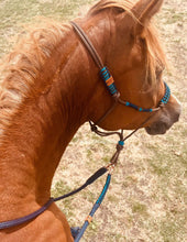 Load image into Gallery viewer, Halter - El Deree