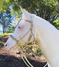 Load image into Gallery viewer, Comfort Bitless Bridle - Khanza