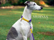 Load image into Gallery viewer, IN STOCK Martingale Dog Collar - Iris