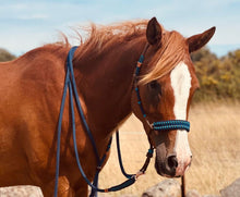 Load image into Gallery viewer, Halter - El Deree