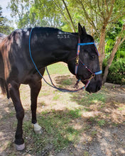 Load image into Gallery viewer, Comfort Bitless Bridle - Nazeer