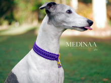 Load image into Gallery viewer, IN STOCK Martingale Dog Collar - Iris