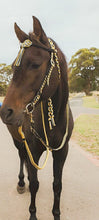 Load image into Gallery viewer, Fairytale Bridle - All That Buzz