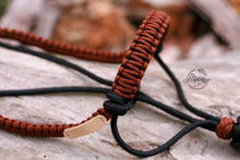 Load image into Gallery viewer, Stiff Halter - Chocolate Covered