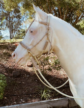 Load image into Gallery viewer, Comfort Bitless Bridle - Khanza