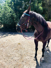 Load image into Gallery viewer, Comfort Bitless Bridle - Nazeer