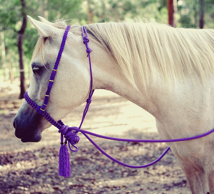 The Bosal Set - How To