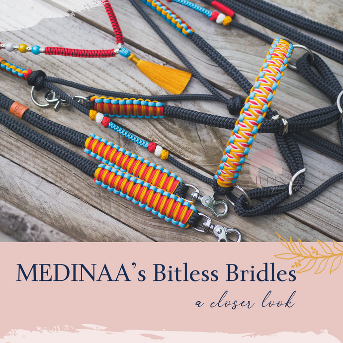 MEDINAA’s Bitless Bridles