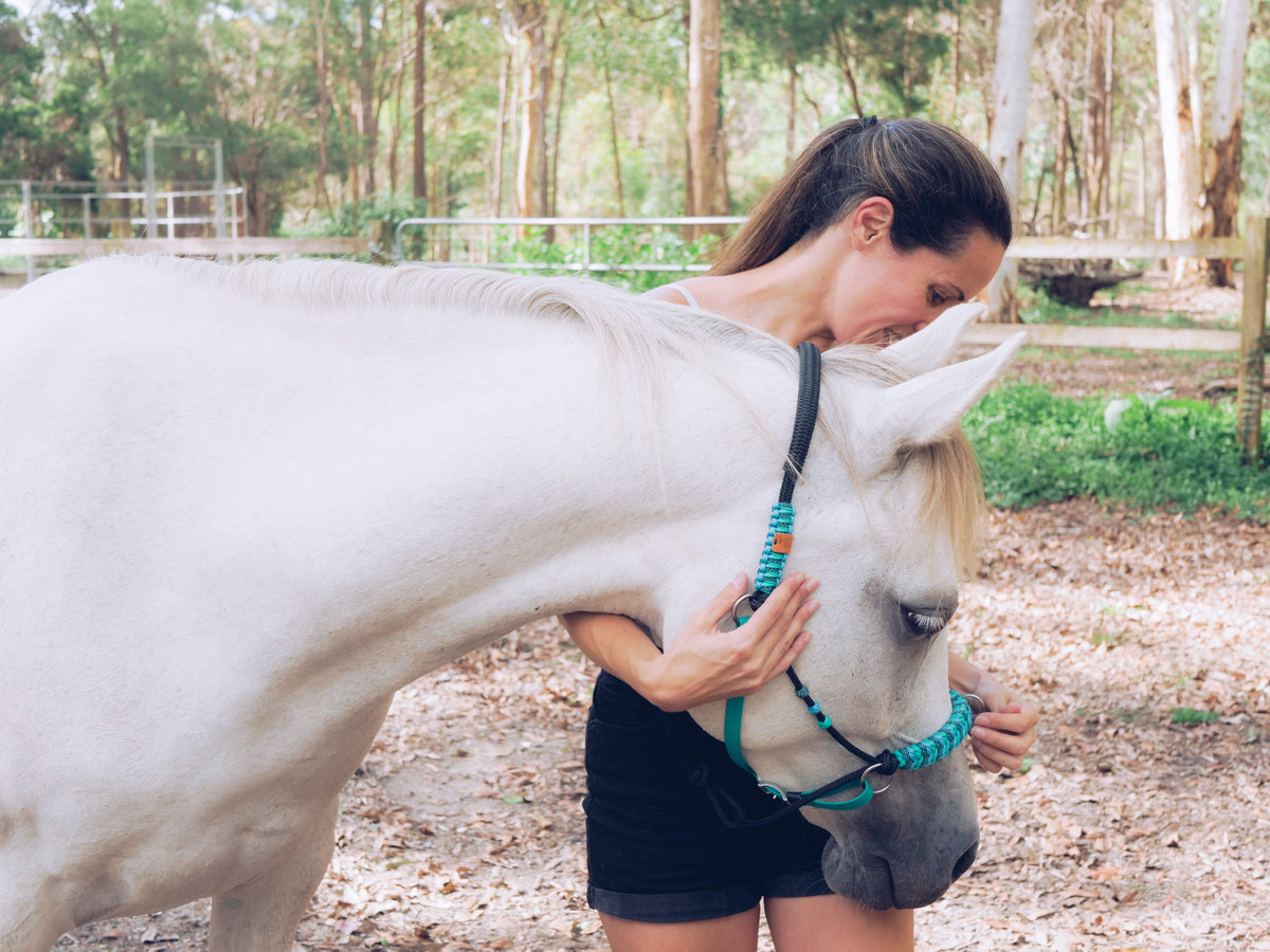 Why Should I Try Riding Bitless? – Medinaa