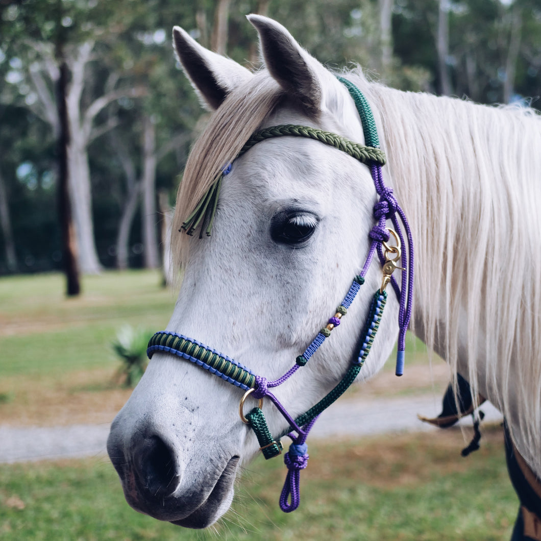 Comfort Bitless Bridle - Purple Heather