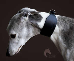 Dog Collar - Elegance