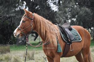 Knotless Comfort Bitless Bridle - Forest Espazade