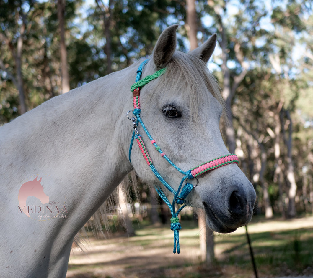 IN STOCK Comfort Bitless Bridle - Tropical Bliss