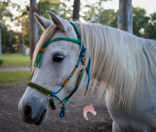 Load image into Gallery viewer, Comfort Bitless Bridle - Spellbound