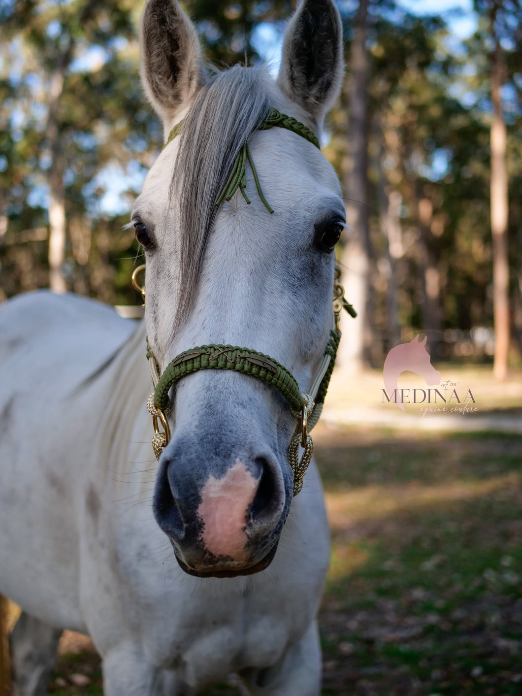 Comfort Bitless Bridle - Khanza Moss