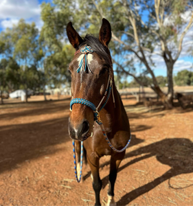 Comfort Bitless Bridle - Cowgirl