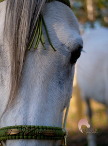 Comfort Bitless Bridle - Khanza Moss