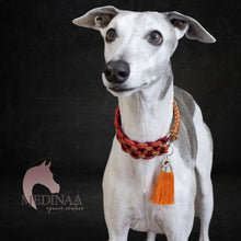 Load image into Gallery viewer, IN STOCK Martingale Dog Collar - Maple