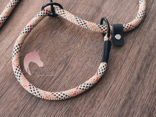Load image into Gallery viewer, Dog Slip Leash - Dogberry