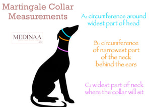 Martingale Dog Collar - Iris