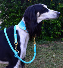Load image into Gallery viewer, IN STOCK Leather Martingale Collar Set - Turquoise Ombré