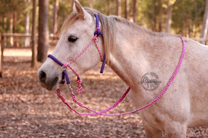 Braided Reins - Country Girl