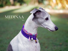 Load image into Gallery viewer, IN STOCK Martingale Dog Collar - Iris