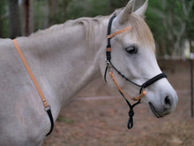 Load image into Gallery viewer, Hybrid Comfort Bitless Bridle - Onyx