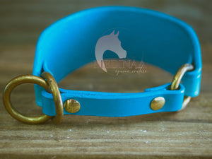 IN STOCK Leather Martingale Collar Set - Turquoise Ombré