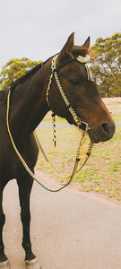 Fairytale Bridle - All That Buzz