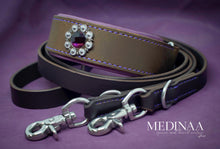 Load image into Gallery viewer, Luxury Martingale Collar - Rory