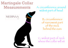 Load image into Gallery viewer, IN STOCK Leather Martingale Collar Set - Turquoise Ombré