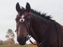 Load image into Gallery viewer, Aria Bridle - Black and Red