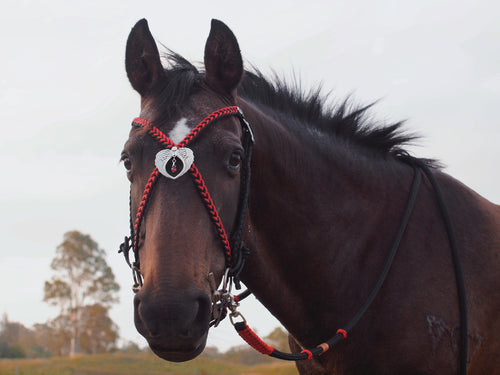 Aria Bridle - Black and Red