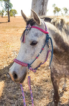 Load image into Gallery viewer, Comfort Bitless Bridle, handcrafted in Australia. High quality double braided rope. Celtic knot browband. Excellent for sensitive horses. Perfect for groundwork and natural horsemanship. 