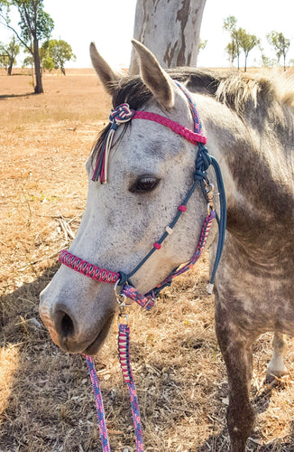 Comfort Bitless Bridle, handcrafted in Australia. High quality double braided rope. Celtic knot browband. Excellent for sensitive horses. Perfect for groundwork and natural horsemanship. 