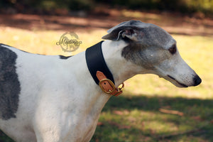 Luxury Dog Collar - Regio