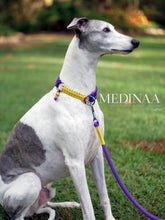 Load image into Gallery viewer, IN STOCK Martingale Dog Collar - Iris