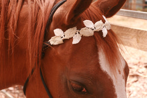 USED Halter with 3 Browbands